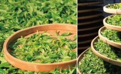 開封農(nóng)業(yè)品牌策劃應該咋做