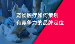 鄭州寵物醫(yī)院品牌策劃如何做比較好